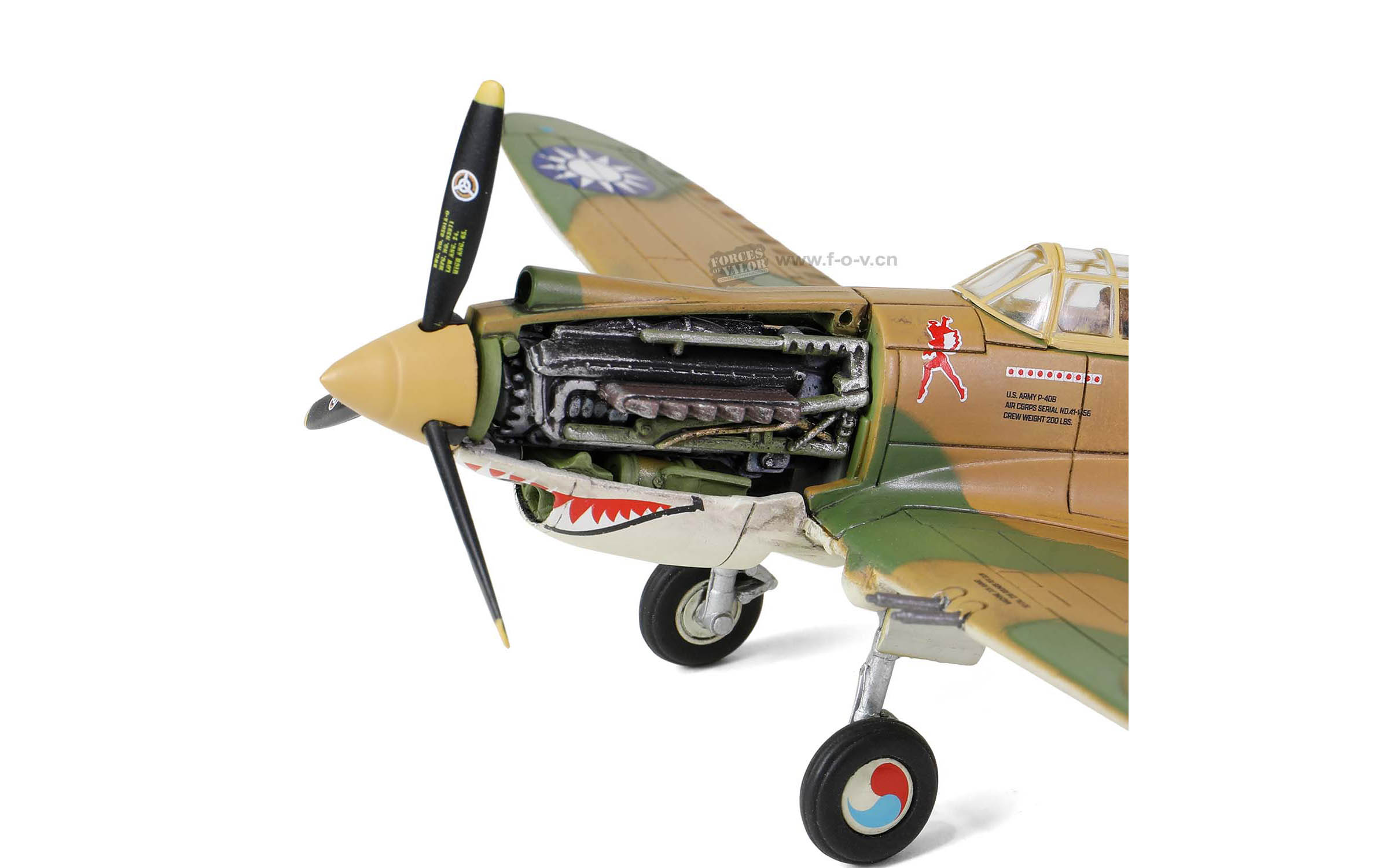 U.S Curtiss P-40B / HAWK 81A-2 - Forces of Valor FOV-812060C |  kingshobby.com, image size:2400x1500