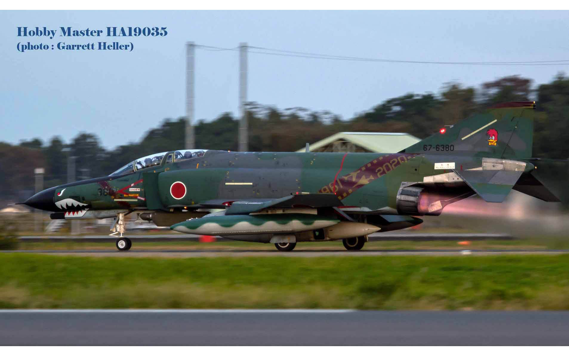 RF-4EJ - 501st Squadron Retirement Scheme, JASDF, 2020