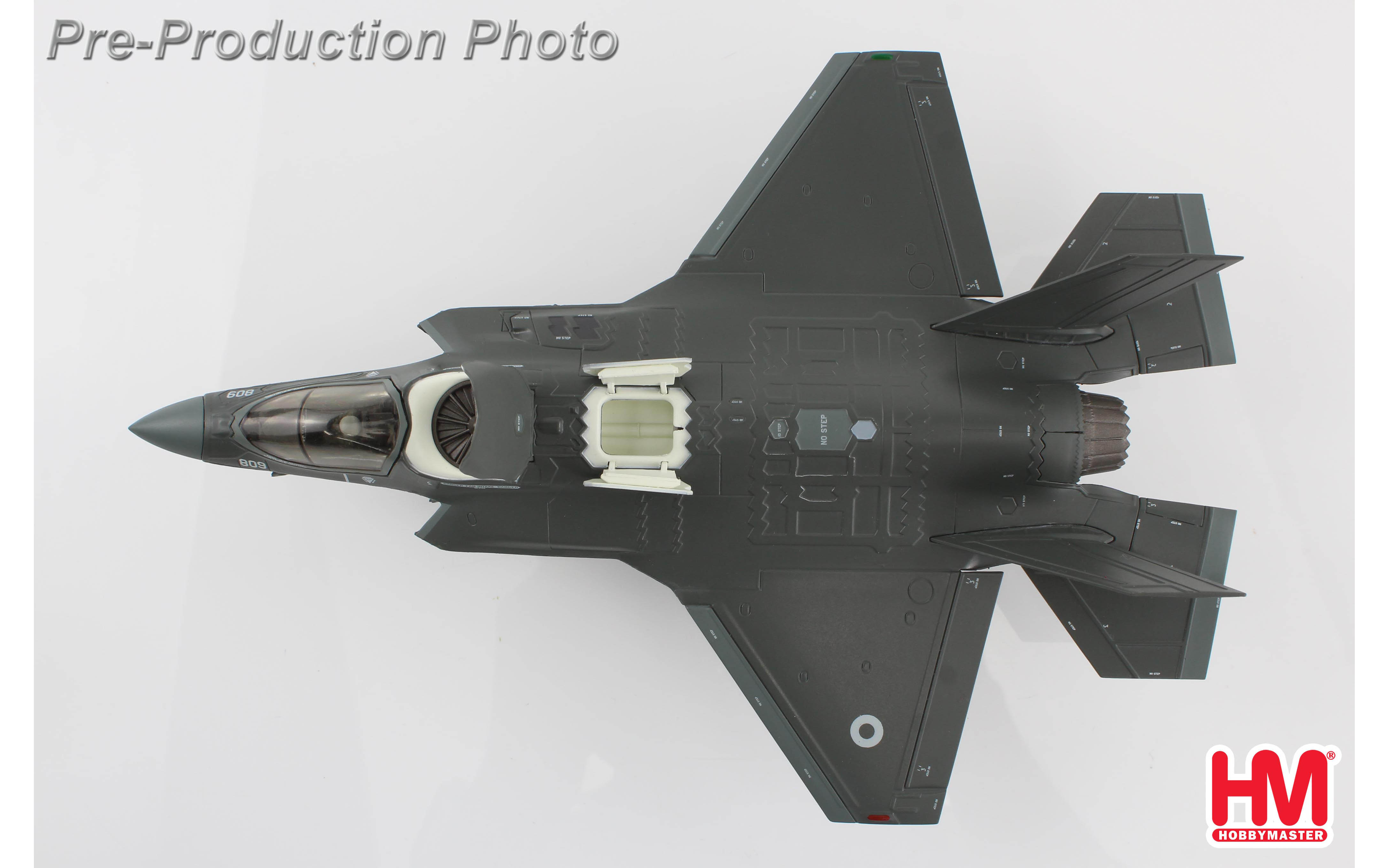 F-35B, Return of the Immortals, ZM-151, 809 NAS, The Immortals