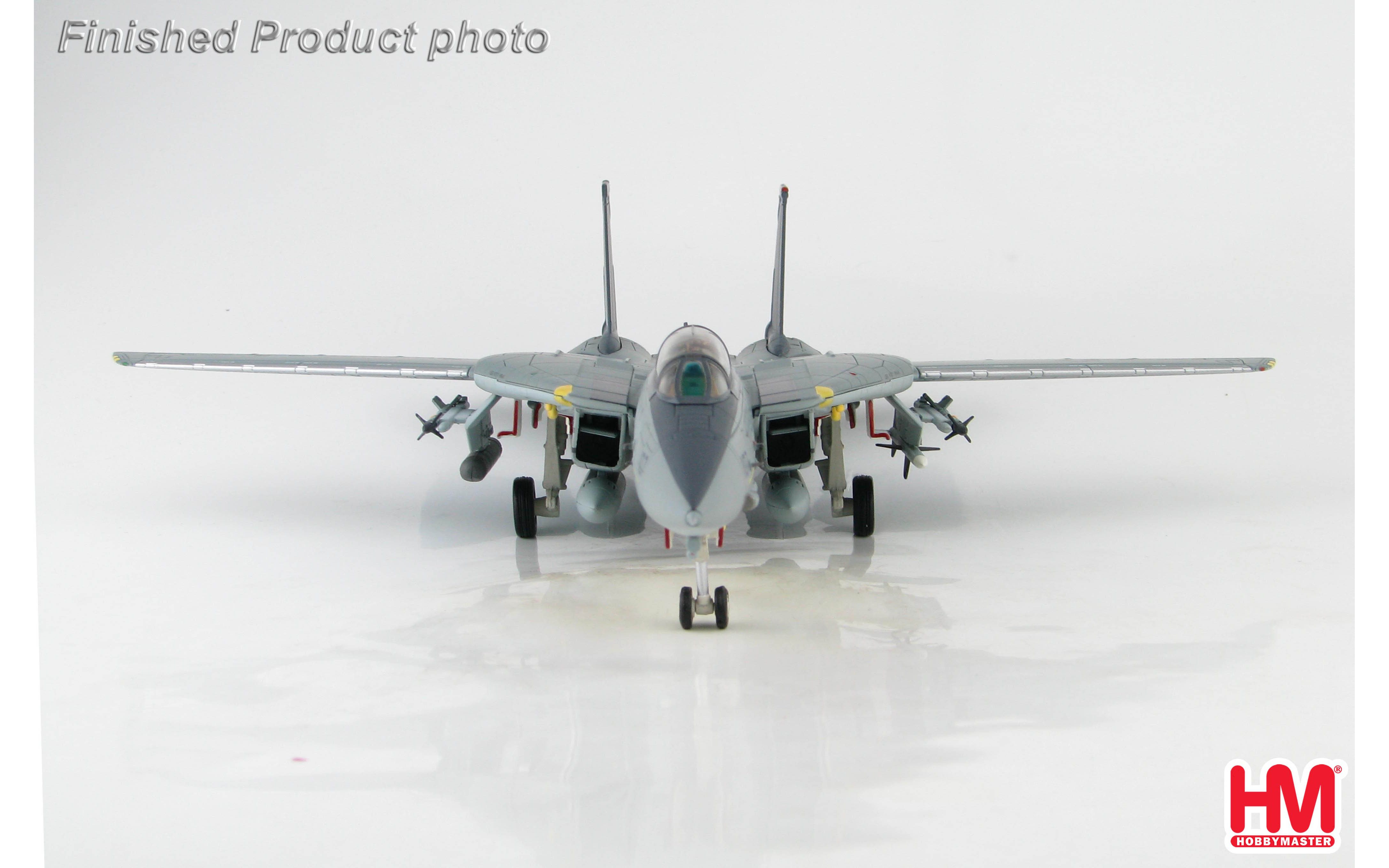 Grumman F-14A Tomcat, 161296, VF-154, USS Kitty Hawk, 2003, OIF