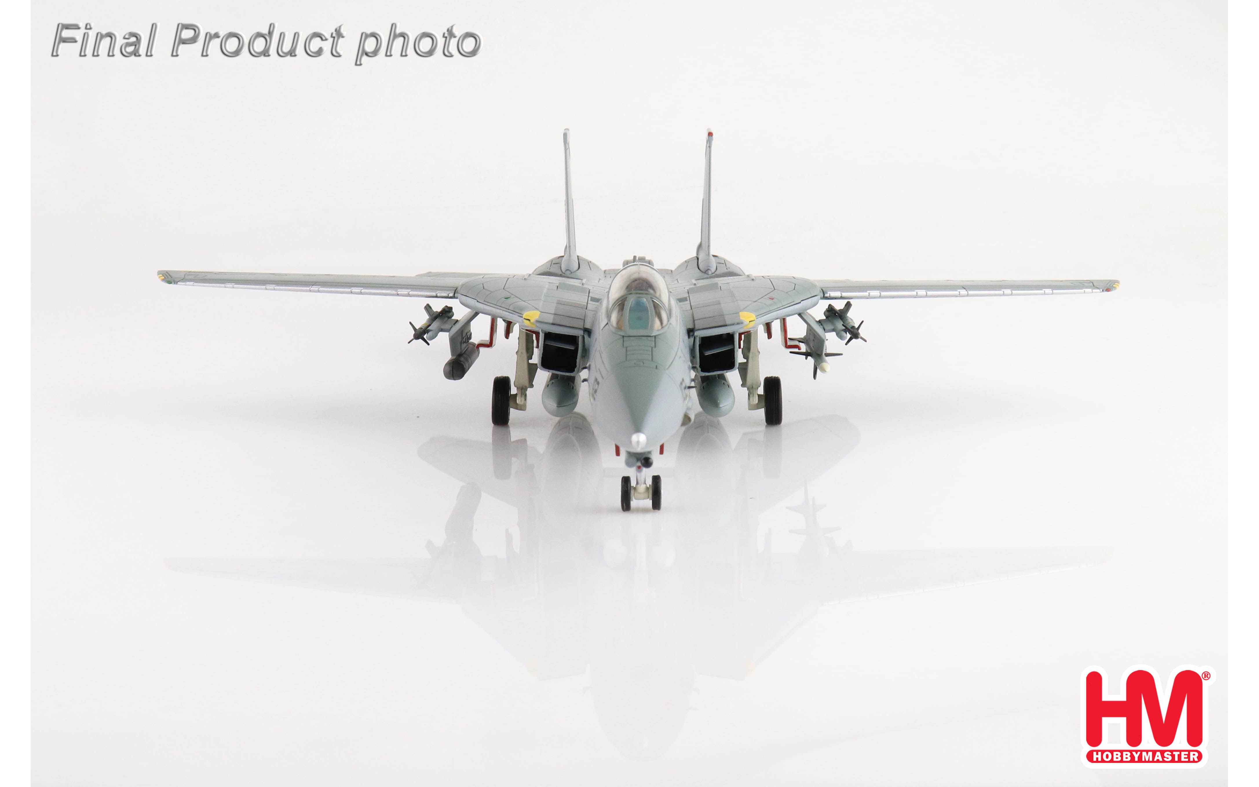 Grumman F-14D, Tomcat Sunset, BuNo 163904, VF-31, Sept 2006
