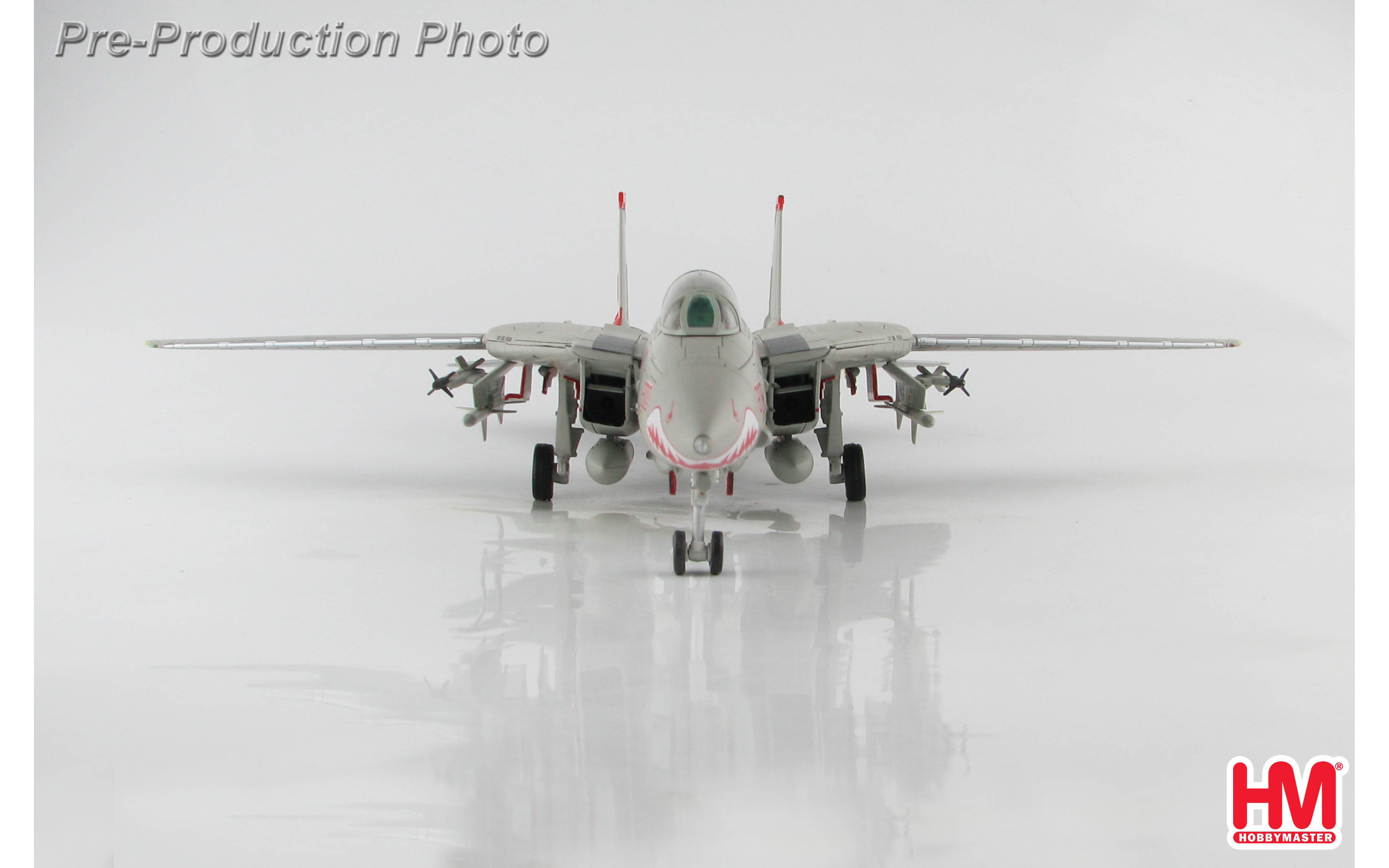 Grumman F-14A Tomcat, Super CAG, 160660, VF-111, Sundowners, USS