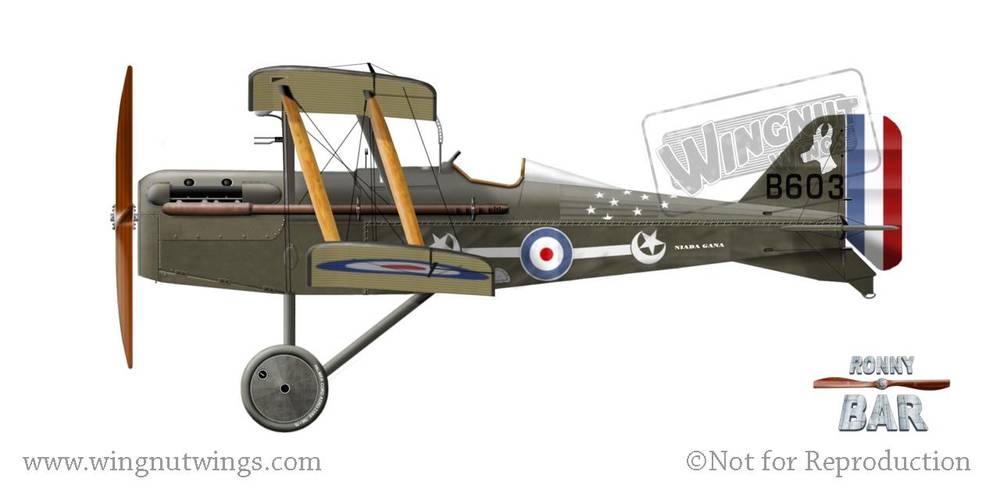SE.5a Hisso - Wingnut Wings 32003 | kingshobby.com