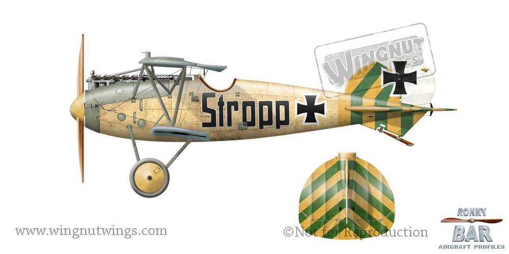 Albatros D.Va - Wingnut Wings 32015 | kingshobby.com