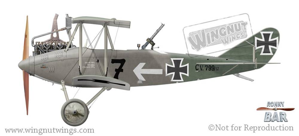 DFW C.V Late Production - Wingnut Wings 32057 | kingshobby.com