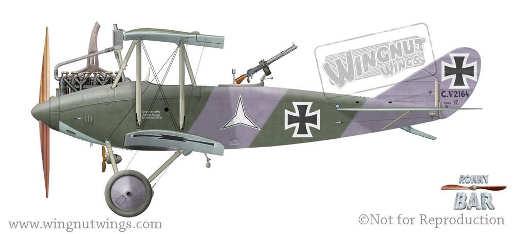 【希少】WingnutWings DFW C.V Late Production Wingnut Wings 1/32 Scale DFW C.V Late Production | eBay