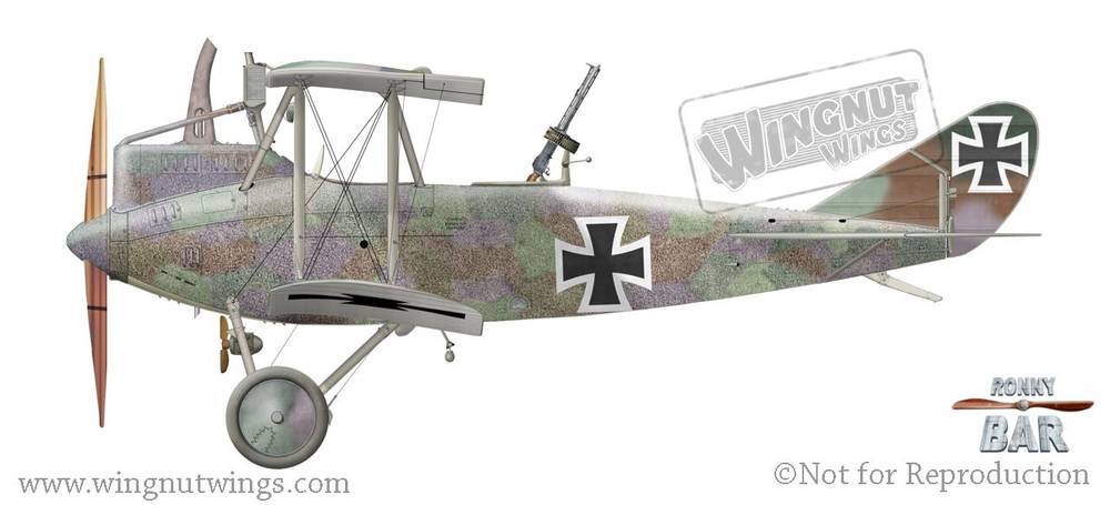 【希少】WingnutWings DFW C.V Late Production DFW C.V Late Production | HLJ.com