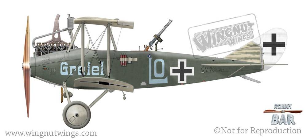 【希少】WingnutWings DFW C.V Late Production Wingnut Wings 1/32 Scale DFW C.V Late Production | eBay