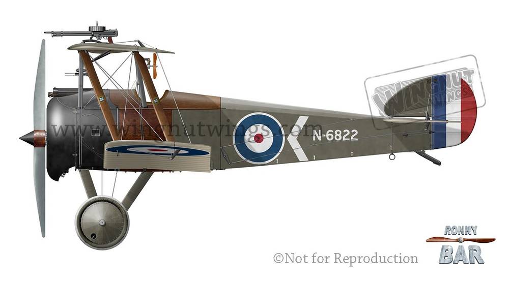 Sopwith 2F.1 'Ship's Camel', Wingnut Wings 32076 (2017)