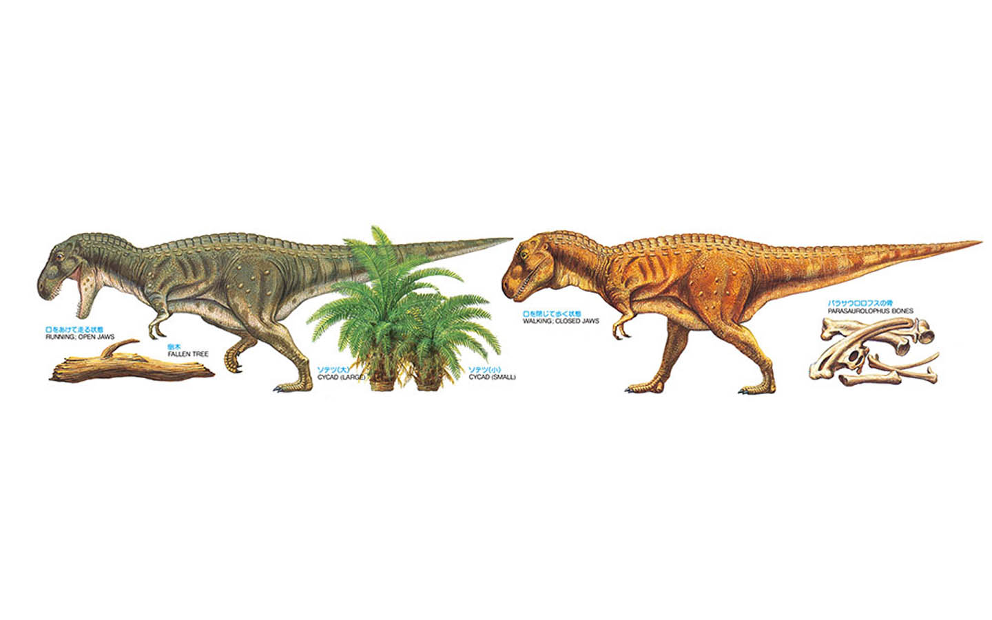 タミヤ Tyrannosaurus Diorama Set - Tamiya 60102 | kingshobby.com