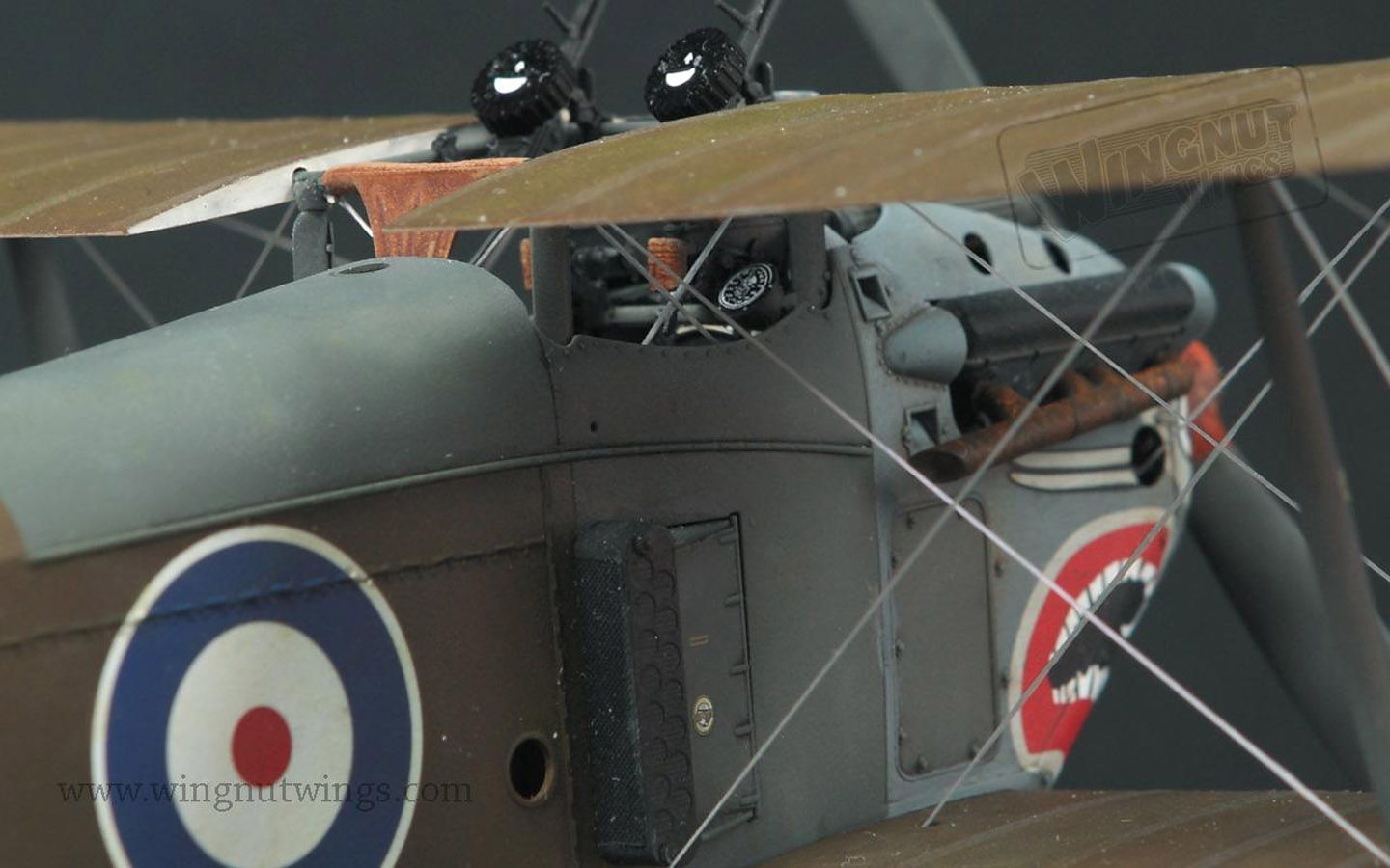 Sopwith 5F.1 Dolphin - Wingnut Wings 32073 | kingshobby.com