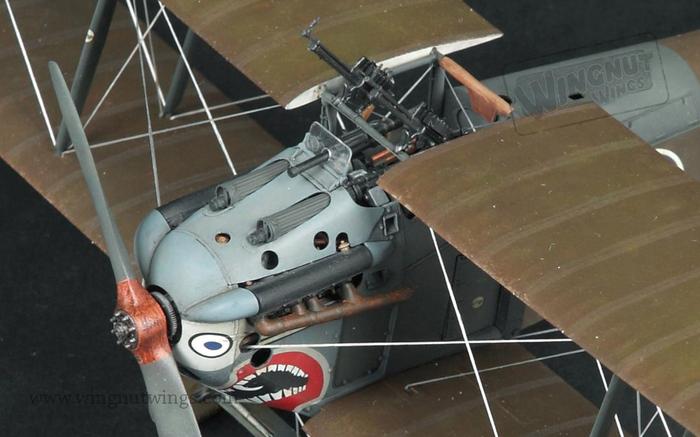 Sopwith 5F.1 Dolphin - Wingnut Wings 32073 | kingshobby.com
