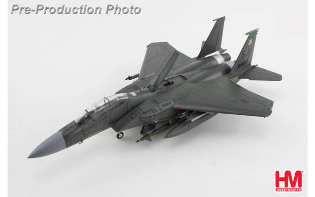 F-15E Strike Eagle, 335th TFS, 4th TFW, Saudi Arabia, Jan