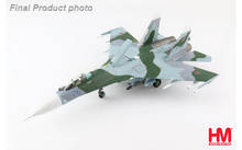 Su-27 Flanker B - Blue 58, Ukrainian Air Force - Hobby
