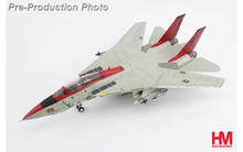 1/80 トップガン F-14B トムキャット VF-101 グリムリーパーズ 1/80 トップガン F-14B トムキャット VF-101 グリムリーパーズ