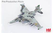 Su-27, Compass Ghost Grey, Ukrainian Air Force, 2023, AGM-88, IRIS