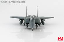 McDonnell Douglas F-15I Ra'am, The Hammer Squadron, IAF - Hobby