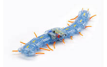 Centipede Robot, Clear Orange, Ltd - Tamiya 69928 | kingshobby.com Centipede Robot, Clear Orange, Ltd - Tamiya 69928 | kingshobby.com